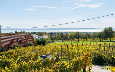 Dul: Himmel, Blå, Landskab, Almindeligt, Landdistrikt, Landbrug, Mark, Land Lot, Sollys, Plantation
