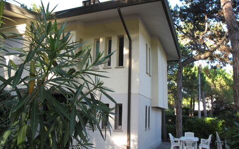 Villa Isolina: Plante, Bygning, Himmel, Træ, Vindue, Hus, Skygge, Arecales, Ejendom, Sommerhus