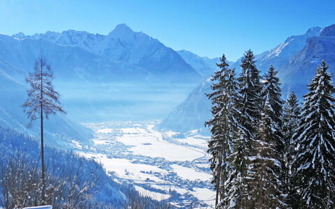 Zell am Ziller 617: Himmel, Bjerg, Sne, Sky, Naturlige Landskab, Azure, Blå, Naturligt Miljø, Lærk, Træ