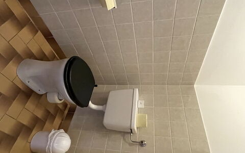 Wildschönau 650: Sanitærarmatur, Toilet, Badeværelse, Indretning, Gulvbelægning, Etage