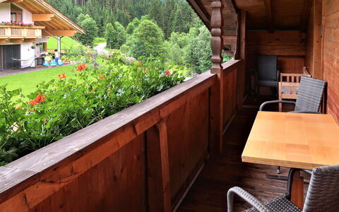 Wildschönau 664: Plante, Bygning, Blomst, Bord, Træ, Træ, Hus, Vindue, Arkitektur, Bejdse