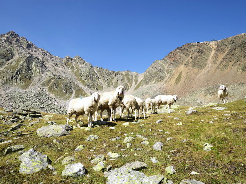 Sölden 622