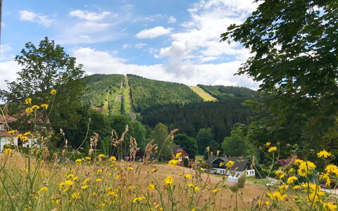 Harrachovka: Blomst, Himmel, Plante, Sky, Plantesamfund, Økoregion, Naturlige Landskab, Bjerg, Land Lot