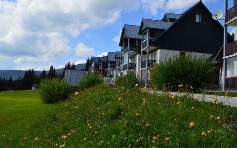 Horni Misecky 602: Sky, Blomst, Himmel, Plante, Bygning, Vindue, Ejendom, Hus, Træ, Land Lot