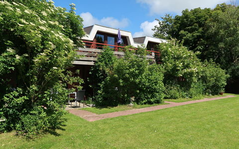 Friedrichskoog 611: Sky, Himmel, Plante, Ejendom, Bygning, Naturlige Landskab, Land Lot, Træ, Græs, Skygge