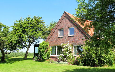 Horumersiel 656: Bygning, Plante, Himmel, Vindue, Naturlige Landskab, Hus, Træ, Land Lot, Græs, Sommerhus