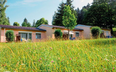 Maierhöfen 608: Plante, Blomst, Himmel, Bygning, Vindue, Sky, Plantesamfund, Træ, Naturlige Landskab, Botanik