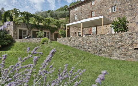 Chiodo: Lavendel, Ejendom, Blomst, Hus, Plante, Arkitektur, Væg, Græs, Bygning, Have
