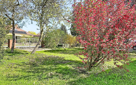 Godern 614: Have, Bunddække, Bagagerum, Forår, Lawn, Backyard, Skygge, Gård, Landscaping, Water Feature