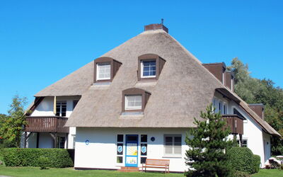 Ostseebad Prerow 605: Hus, Ejendom, Hjem, Boligområde, Bygning, Tag, Ejendom, Arkitektur, Estate, Sommerhus