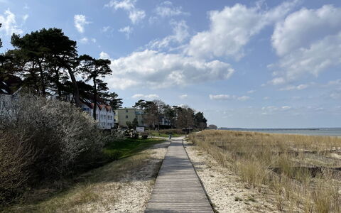 Ostseebad Lubmin 607: Sky, Himmel, Plante, Naturlige Landskab, Vejbelægning, Træ, Træ, Vegetationen, Land Lot, Græs