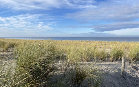 Ostseebad Lubmin 607: Sky, Himmel, Plante, Plantesamfund, Naturligt Miljø, Naturlige Landskab, Græs, Almindeligt, Horisont, Landskab