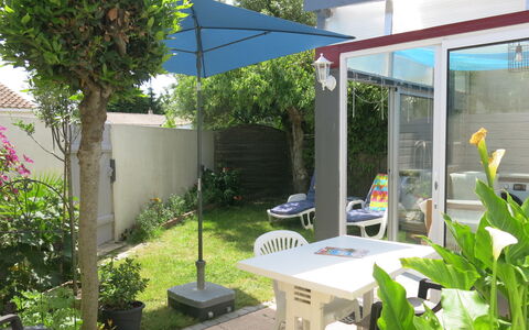 Roses Tremières: Plante, Møbel, Ejendom, Skygge, Botanik, Bord, Bygning, Stol, Arkitektur, Udendørs Møbler