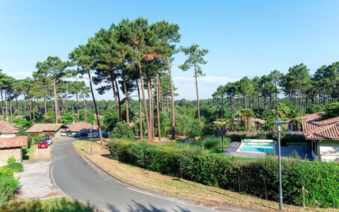 Moliets 626: Plante, Himmel, Træ, Gadebelysning, Naturlige Landskab, Vejbelægning, Asfalt, Arecales, Land Lot, Urban Design