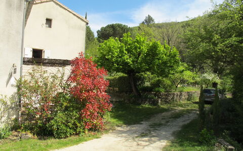 Marguerie: Plante, Himmel, Blomst, Ejendom, Bygning, Vindue, Sky, Naturlige Landskab, Hus, Land Lot