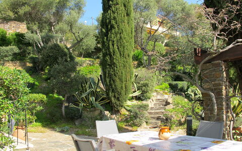 Le Lavandou 604: Ejendom, Træ, Vegetationen, Have, Botanik, Ejendom, Bord, Plante, Botanisk Have, Gård