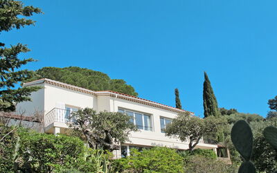 Le Lavandou 604: Vegetationen, Ejendom, Hus, Arkitektur, Ejendom, Bygning, Hjem, Træ, Himmel, Botanik