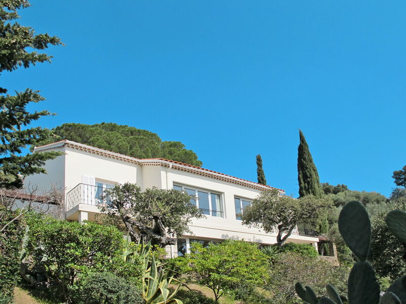 Le Lavandou 604