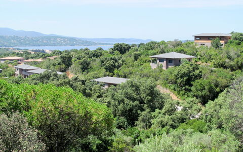 Bruyères 1: Vegetationen, Ejendom, Shrubland, Naturlige Landskab, Plantesamfund, Naturreservat, Biome, Træ, Bakke, Botanik