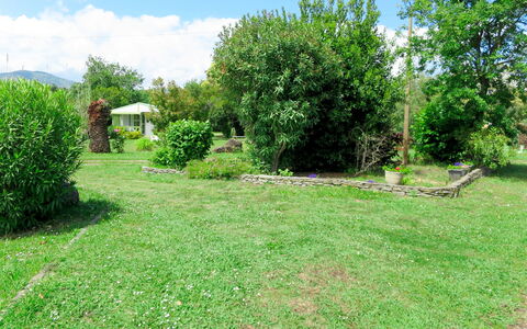 San Nicolao 674: Land Lot, Ejendom, Græs, Vegetationen, Naturlige Landskab, Gård, Naturreservat, Lawn, Have, Træ