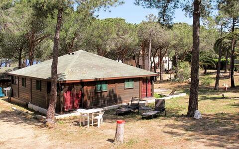 Calvi 609: Ejendom, Hjem, Hus, Træ, Landdistrikt, Hytte, State Park, Bygning, Hytte, Landskab