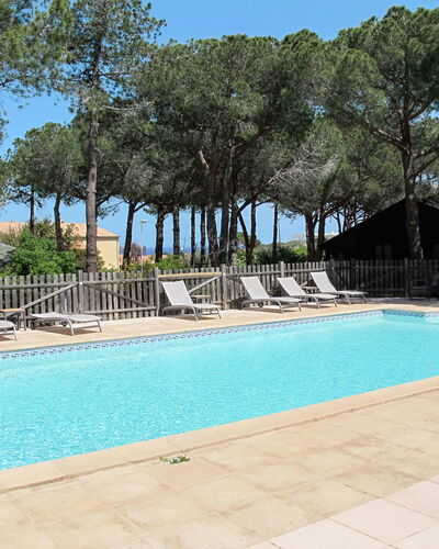 Calvi 609