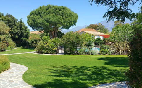 Calvi 610: Himmel, Plante, Træ, Naturlige Landskab, Land Lot, Skygge, Vedplante, Græs, Busk, Bunddække