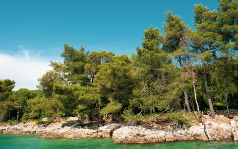 Krk Malinska 633: Vand, Krop Af Vand, Coastal Og Oceaniske Landskabsformer, Kyst, Vandløb, Bank, Sø, Kyst, Hav, Skov