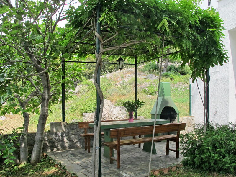 Senj 625