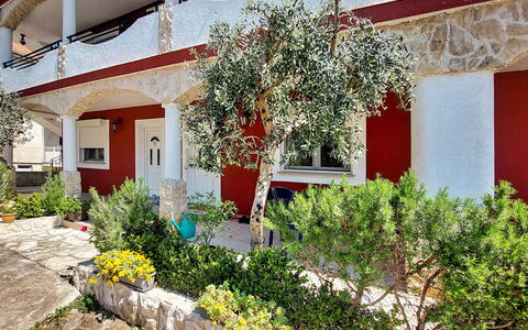 Vodice 613: Plante, Bygning, Vindue, Blomst, Botanik, Vegetationen, Hus, Gul, Kvarter, Boligområde