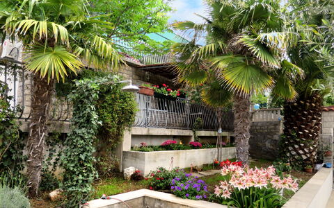 Garden: Plante, Ejendom, Bygning, Plantesamfund, Blomst, Træ, Blad, Natur, Botanik, Himmel