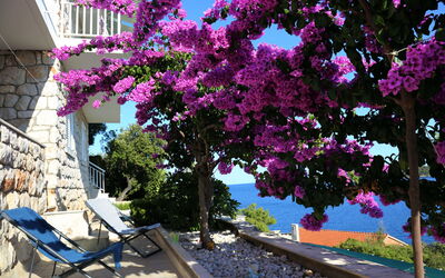 Korčula Korčula 606
