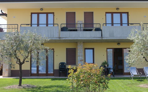 Lazise 741: Plante, Himmel, Plantesamfund, Naturlige Landskab, Afdeling, Træ, Græs, Busk, Løvtræ, Landskab