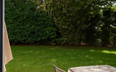 Casa Irene: Plante, Natur, Botanik, Skygge, Vejbelægning, Udendørs Bench, Sollys, Land Lot, Vegetationen, Træ