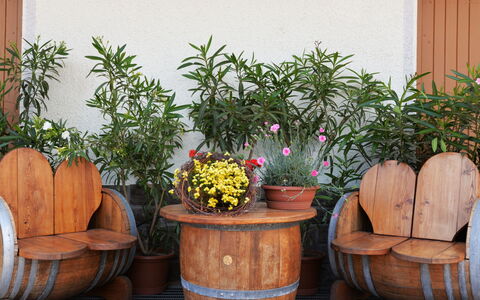 Andriano 602: Blomsterkrukke, Stueplante, Plante, Blomst, Have, Urt, Barrel, Værelse, Træ, Møbel