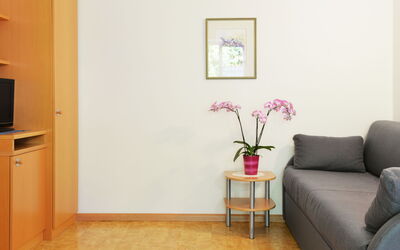 Feriebolig:&nbsp;Hocheppan 602.3