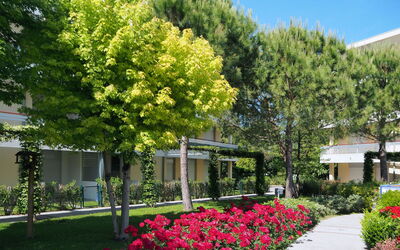 Bibione 661
