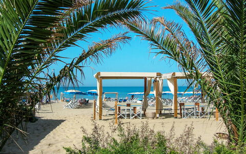Cosmopolitan Golf (Tir280): Træ, Ferie, Palme Træ, Strand, Udvej, Arecales, Tropics, Sommer, Plante, Arkitektur