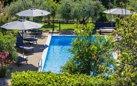 Sandra: Svømmepøl, Udvej, Have, Udendørs Møbler, Paraply, Liggestol, Eco Hotel, Skygge, Landscaping, Hacienda