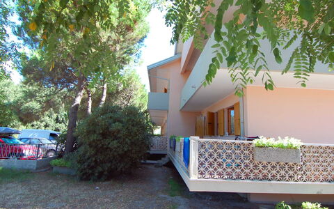 Rosolina Mare 641: Plante, Bygning, Blad, Træ, Hus, Skygge, Land Lot, Arecales, Urban Design, Vedplante