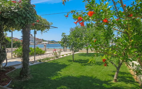 Lidija: Plante, Himmel, Ejendom, Blomst, Vand, Naturlige Landskab, Skygge, Vegetationen, Land Lot, Træ