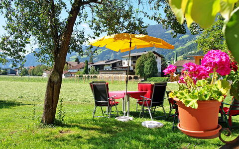 Zell am Ziller 684: Plante, Møbel, Blomsterkrukke, Blomst, Træ, Skygge, Stol, Udendørs Møbler, Naturlige Landskab, Stueplante