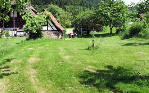 Backhäusle: Grøn, Naturlige Landskab, Græs, Vegetationen, Lawn, Land Lot, Ejendom, Naturreservat, Træ, Have