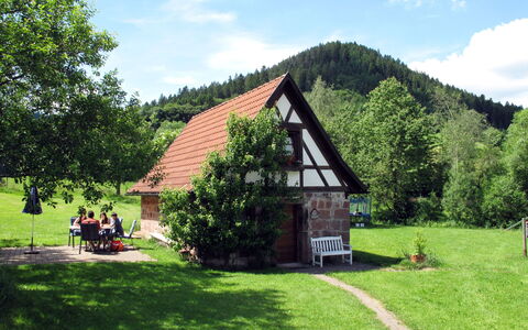 Backhäusle: Plante, Sky, Himmel, Ejendom, Bygning, Naturlige Landskab, Træ, Hus, Land Lot, Vegetationen