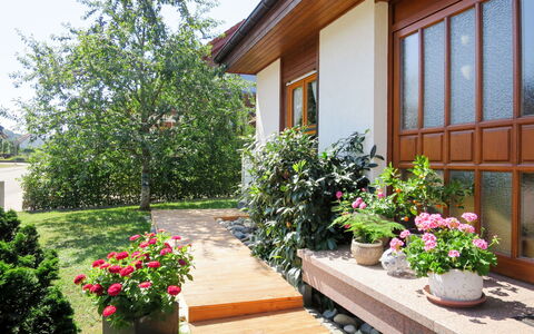Land in Sicht: Blomst, Plante, Bygning, Ejendom, Vindue, Blomsterkrukke, Stueplante, Botanik, Hus, Himmel