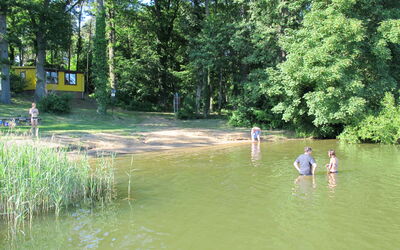 Am Walde