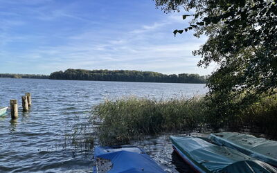 Am Walde