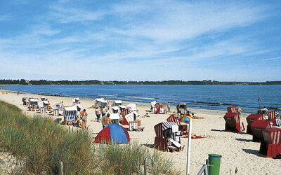 Tribbevitz