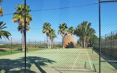 Muro 603: Træ, Kædelink Fencing, Sport Venue, Palme Træ, Vedplante, Arecales, Net, Line, Plante, Græs