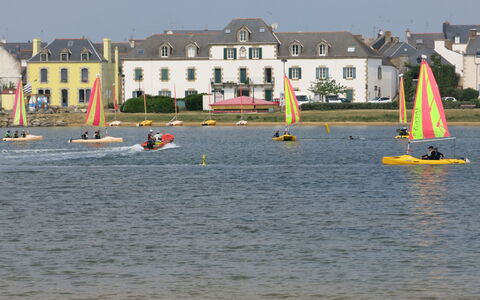 Raffinement, Confort et Vue Mer: Plante, Vand, Ejendom, Møbel, Bygning, Bord, Vindue, Azure, Stol, Indretning